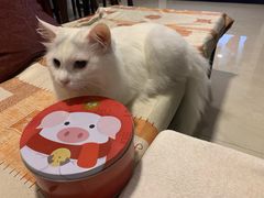 -家琳甜品(江南东店)