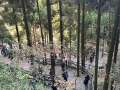 -刘伯温故里景区百丈漈