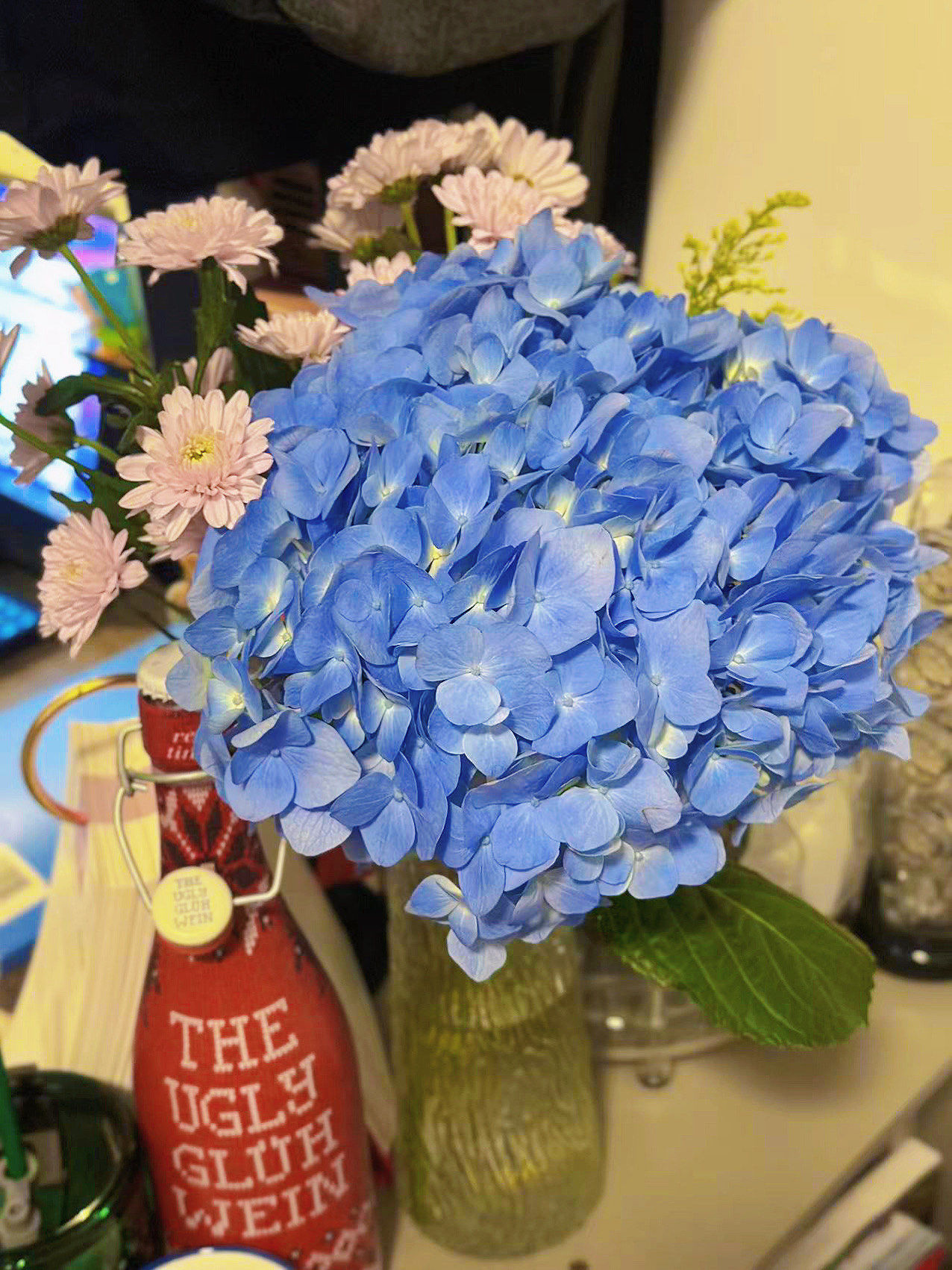 大海蓝绣球