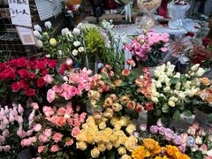 -循礼门鲜花花市(武汉循礼门店)