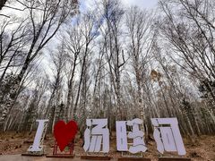 -汤旺河林海奇石景区