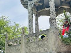 -终南山南五台景区