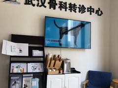 -伟伟宠物医院·瑞派猫友好医院·猫科(光谷店)