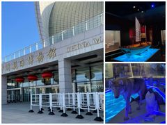 -上海中国航海博物馆