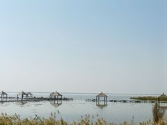 -哈素海