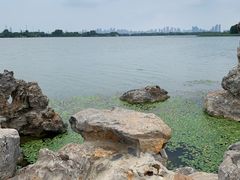 -东湖落雁景区