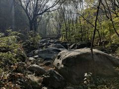 -云岫谷游猎自然风景区