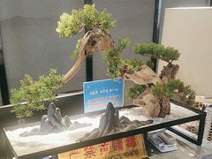 -见康道莱•足浴按摩•艾灸•SPA(友谊店)