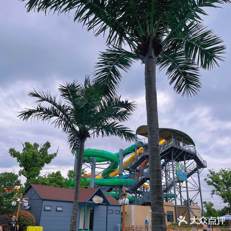 家门口的苏州湾梦幻水世界