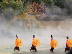 -西双版纳原始森林公园
