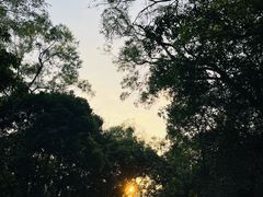-广州市白云山风景名胜区