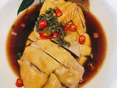 口水鸡-大碗居·烤鸭·鱼头泡饼(天坛东门店)