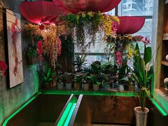 -芭缇沁园椰子鸡(中航紫金新天地店)