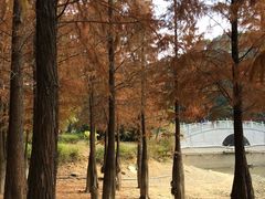 -广州市帽峰山景区