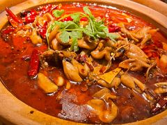 -马头巷·食景园(苏州总店)