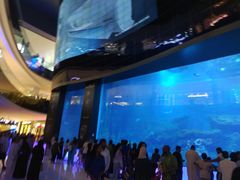 -迪拜水族馆及水下动物园