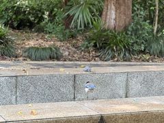 -苏州河梦清园环保主题公园