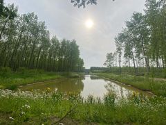 -黄海国家森林公园