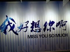 -深圳失恋博物馆再见前任(汇商名苑店)