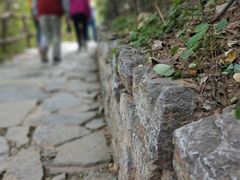 -井塘古村
