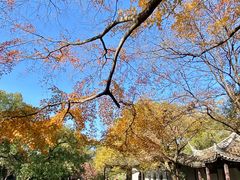 -惠山古镇·寄畅园