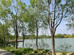 -东郊湿地公园