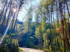 -仙岛湖旅游风景区