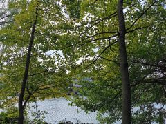 -白马涧龙池景区