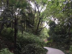 -蓝天清水湾国际大酒店