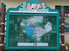 -森波拉奇妙世界
