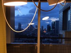 -东方名猫馆·英短金渐层布偶猫舍(环线广场1号楼店)