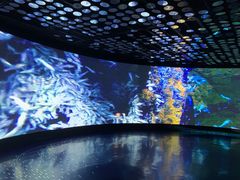 -同济大学四平路校区深海探索馆