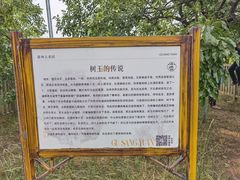 -御林古桑园