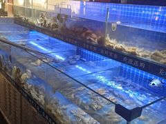 -星海汇海鲜烤肉火锅自助(二七广场百年德化店)
