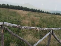 -红崖峡谷景区