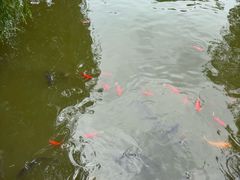 -什邡罗汉寺