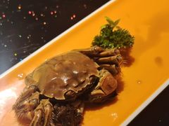 -应天大明王朝·南京菜创始店(中山陵店)