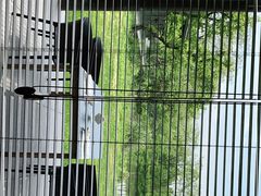 -木守西溪溪隐餐厅