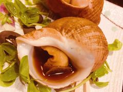 烤海螺-德川家日本料理(龙德广场店)