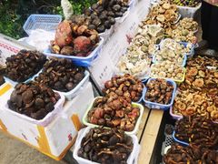 -五里多农博广场