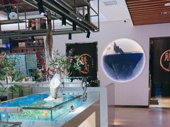 -腾阁自助餐厅(朝林广场店)
