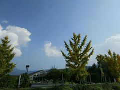 -雅安楠水阁温泉酒店