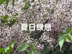 -长阳创谷