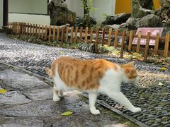 -西园戒幢律寺