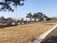 -莫子山公园