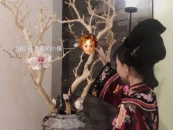 -盘子女人坊古装写真摄影(天津总店)