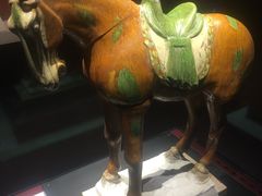 -宁夏博物馆