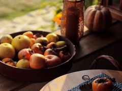 -东钱湖旅游度假区