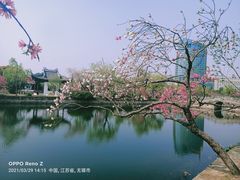 -无锡蠡湖国家湿地公园-蠡园