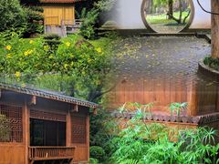 -深圳国际园林花卉博览园